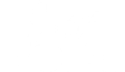 JMG Polo